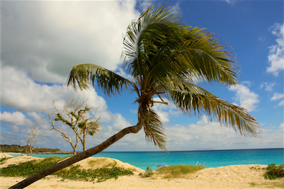St Maarten Lufthavn Leje af bil